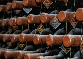Wine Cellar