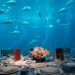 Underwater Hotels